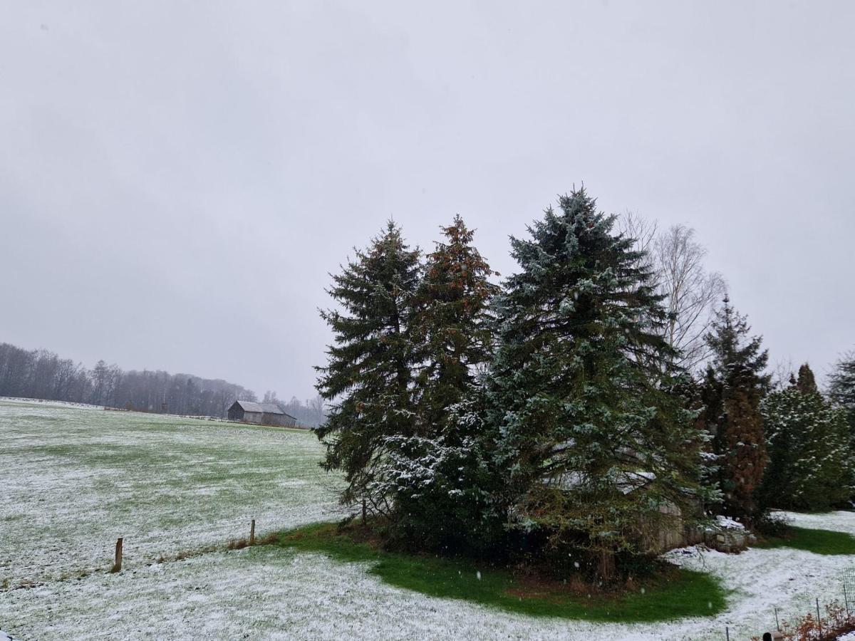 Ferienwohnung Arnsberger Wald Möhnesee Zewnętrze zdjęcie